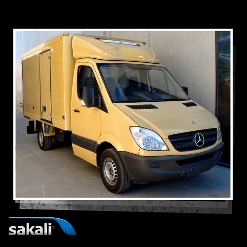 Deflector Mercedes Sprinter 2006 Integral KL- 58 cm